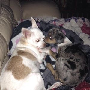 Meet your Posher, Michelle